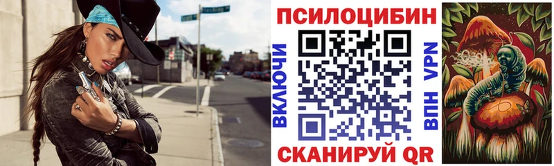 даркнет сайт  Нестеров  Псилоцибиновые грибы GOLDEN TEACHER 